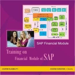 SAP Financial Module